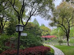-新洲生态园