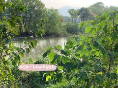 -长兴太湖图影湿地文化园