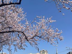 -安定门(地铁站)