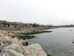 -烟墩角天鹅湖