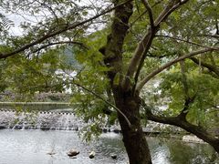 -鹿亭中村