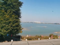 -八仔大富楼·河鲜(西江店)