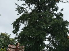 -常熟方塔园