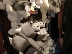 -TrueLove @ Neverland (Husky Cafe)