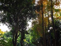 -晓港公园