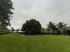 -海口万豪·大堂吧·望海吧.日落海景·下午茶·奶茶·咖啡·轻食·蛋糕·鸡尾酒·清吧