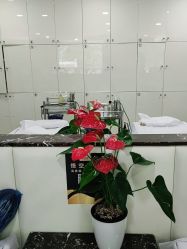 -悟空祛痘·诺奖技术专业店