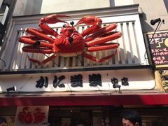-蟹道乐(道顿堀本店)