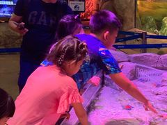 -沈阳海洋探索中心