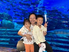 -亚特兰蒂斯•OSSIANO奥西亚诺海底餐厅