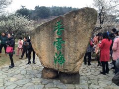 -香雪海