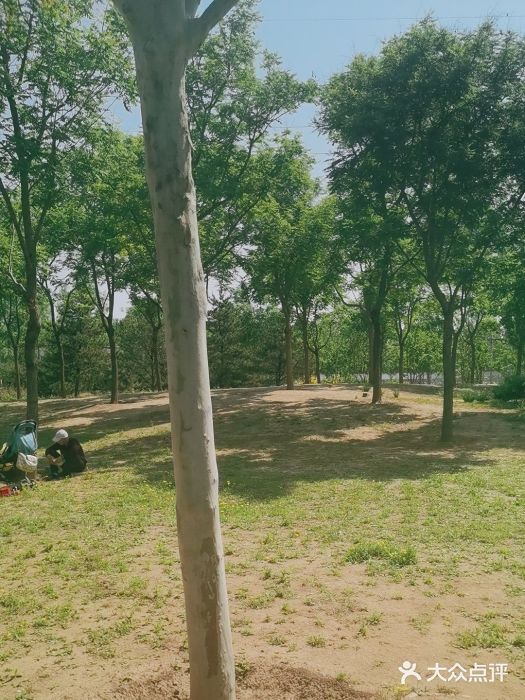 坝河休闲公园图片