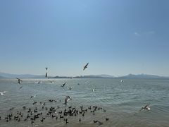 -深圳湾公园(南山区)