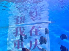 -重庆欢乐海底世界