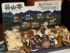 -芸山季·云南野生菌火锅(人民广场来福士店)