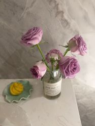 -MIDA蜜哒•科技逆龄美肤连锁