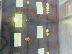 -上海海洋大学鱼文化博物馆(军工路校区)