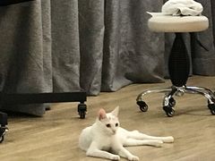 -iF摄影•全家福•证件照•形象照(南山店)