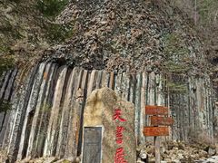 -望天鹅景区