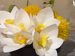 -大鸭梨烤鸭·北京菜(大兴南小街店)