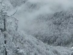-西岭雪山大飞水景区