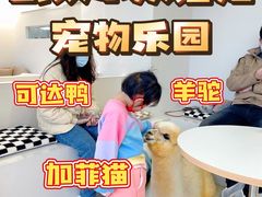 -怪兽屋·羊驼·猫咖·狗咖(俊华广场店)