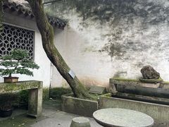 -绍兴鲁迅故里·沈园景区