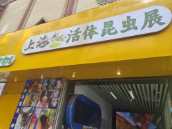 -神奇动物撸宠馆·羊驼·小浣熊·异宠(豫园店)