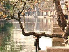 -长兴太湖图影湿地文化园