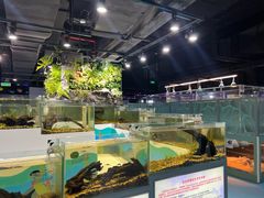 -上海大自然野生昆虫馆(东方明珠·爬宠昆虫探索中心)