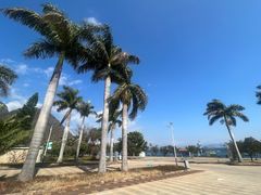 -抚仙湖禄充风景区