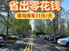 -青岛胶东国际机场