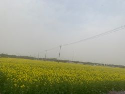 -水八仙生态园