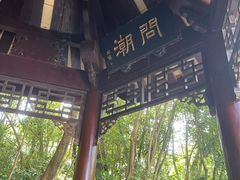 -深圳国际园林花卉博览园