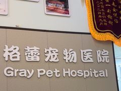 -格蕾宠物医院24H·猫科·肿瘤科·骨科中心(福州总院)
