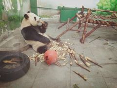 -无锡动物园·太湖欢乐园