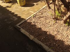 -宫事颐庭·老佛爷贵寿下午茶(颐和园店)