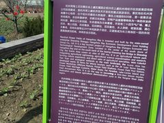 -杭州湾海上花田景区
