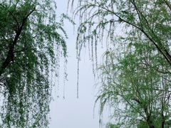 -眉山湿地公园(东坡区)