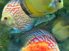 -多彩贵州城极地海洋世界