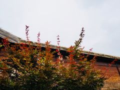 -南湖湿地公园