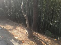 -苏州环秀晓筑养生度假村