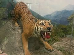 -国家自然博物馆