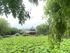 -莲池书院博物馆