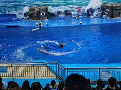 -多彩贵州城极地海洋世界