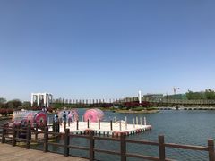 -上海鲜花港