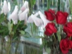 -双季花艺园艺市场(浦东店)