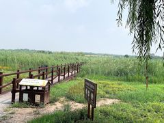 -西青郊野公园
