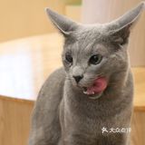 饮料咖啡都是无限畅饮的!可以玩一个下午的好去处
