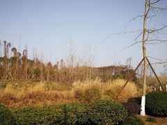 -白鹭湾湿地公园